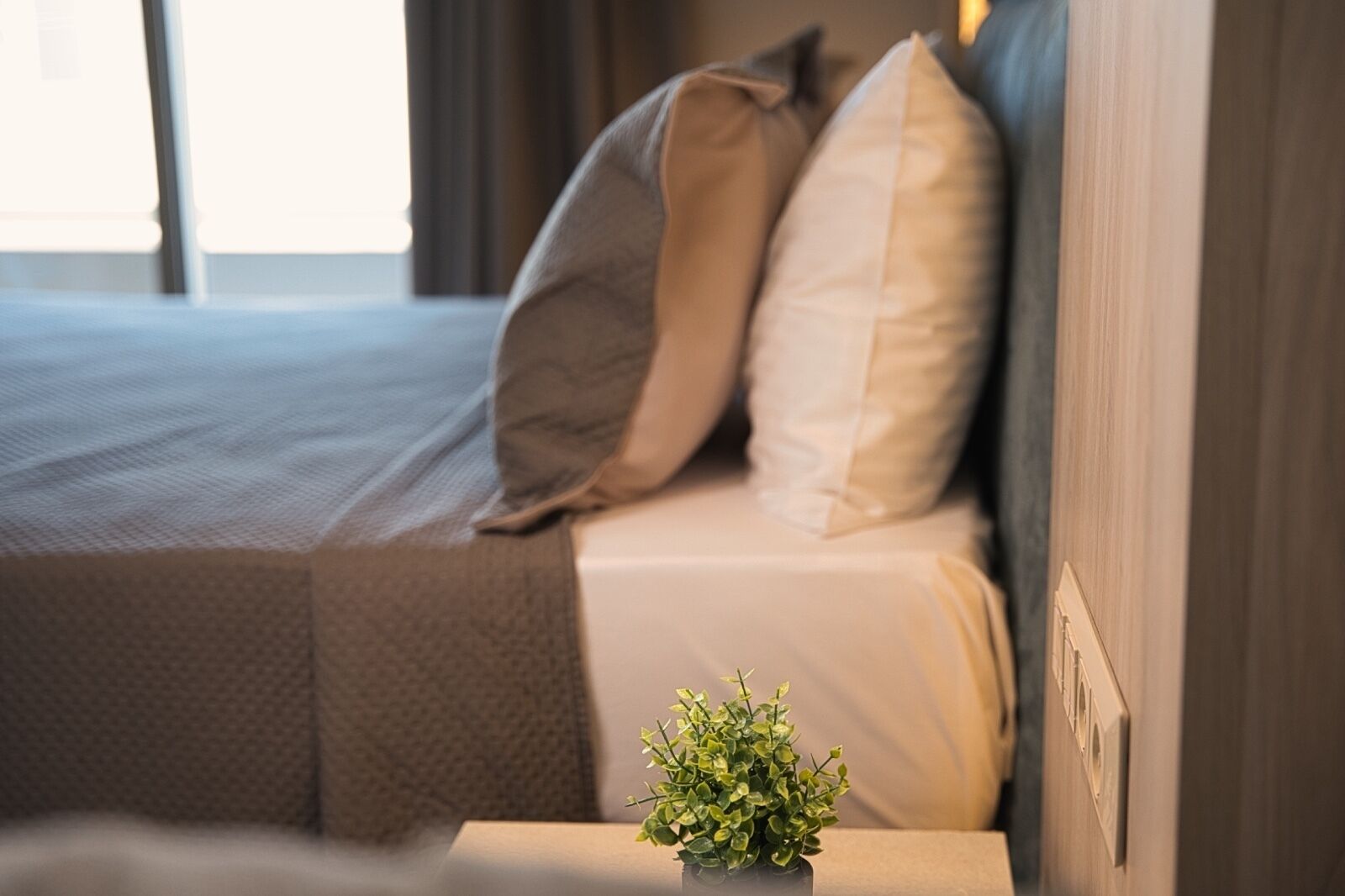 A neatly made bed with pillows and a small potted plant on a bedside table.