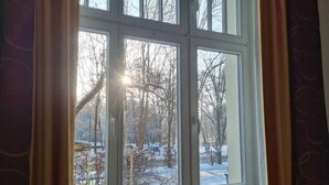 A window with a view of a snowy landscape and bare trees. - 120m², 6+1 Pers. 3 SZ / 4TV 100 Mbit/s +netflix (Arnsdorf)