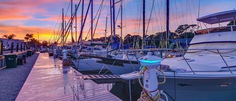 Marina