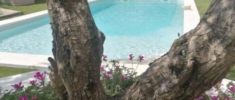 Piscine extérieure, piscine chauffée