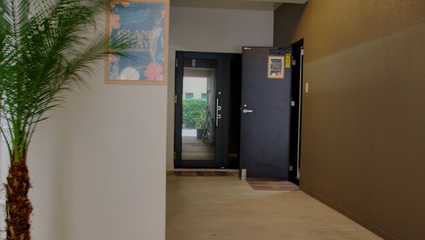 A hallway with a door, a framed picture on the wall, and a potted plant. - Island Stay Izumizaki Hotel (Naha)