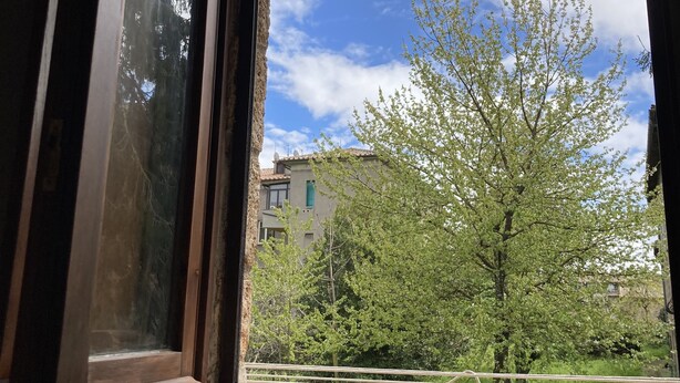 Une fenêtre donnant sur un arbre et des immeubles.