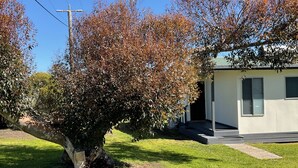 Une maison moderne avec une pelouse bien entretenue et un grand arbre à l’avant.