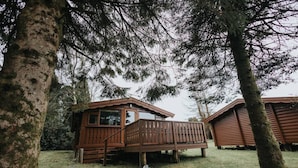 A wooden cabin with a deck, surrounded by trees. - Cozy Hideway in Rural Mid Wales (Blaenau Ffestiniog)