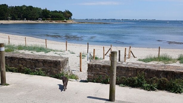 A beach with a concrete walkway, wooden posts, and a stone wall. - Maison Bord de mer (Sarzeau)