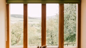 A window with a view of a rural landscape, including trees and open fields. - Ty Beic Country Apartments, The Barn (Sarnau Bala)