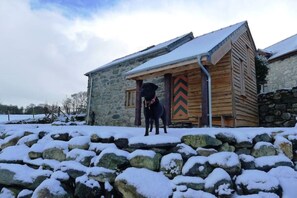 Property grounds - Ty Beic Country Apartments, The Barn (Sarnau Bala)