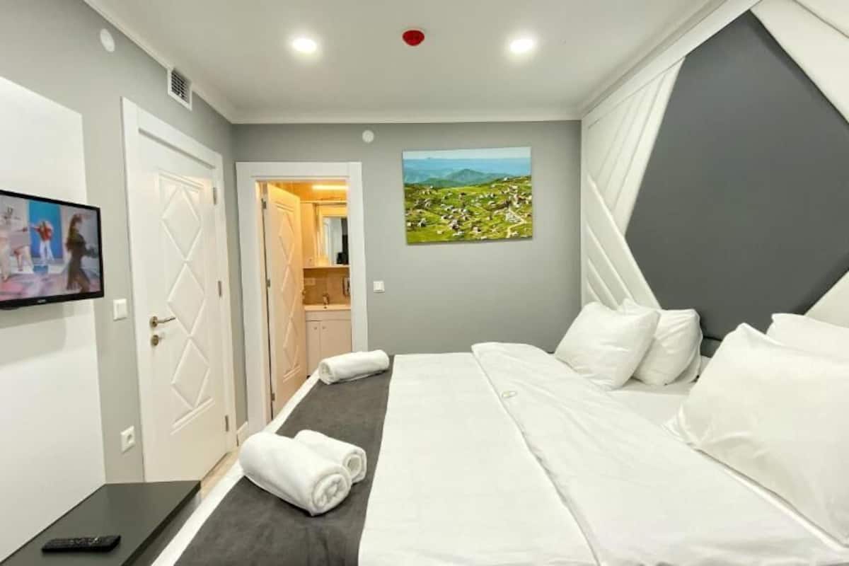 Una habitación de hotel con una cama, televisión, un cuadro y vistas a un paisaje.