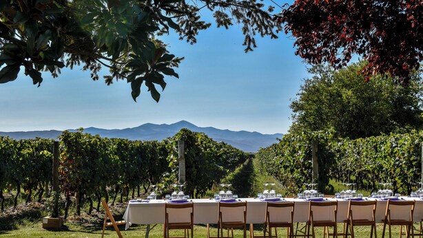 A vineyard with a long table set up for dining, surrounded by trees and mountains in the background. - Villas Finca La Emperatriz (Baños de Rioja)