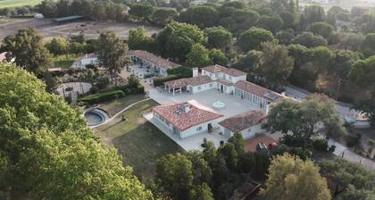 Terra Quinta