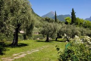 Family Apartment, Multiple Bedrooms, Mountainside (Casa Scott) | Property grounds