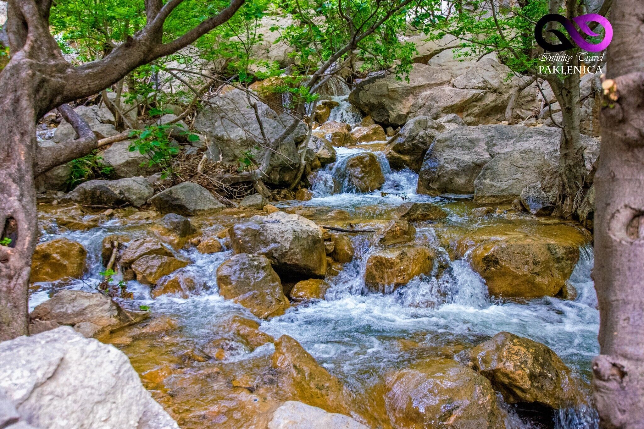 Un ruisseau aux eaux claires qui serpente entre les rochers, bordé d’arbres.