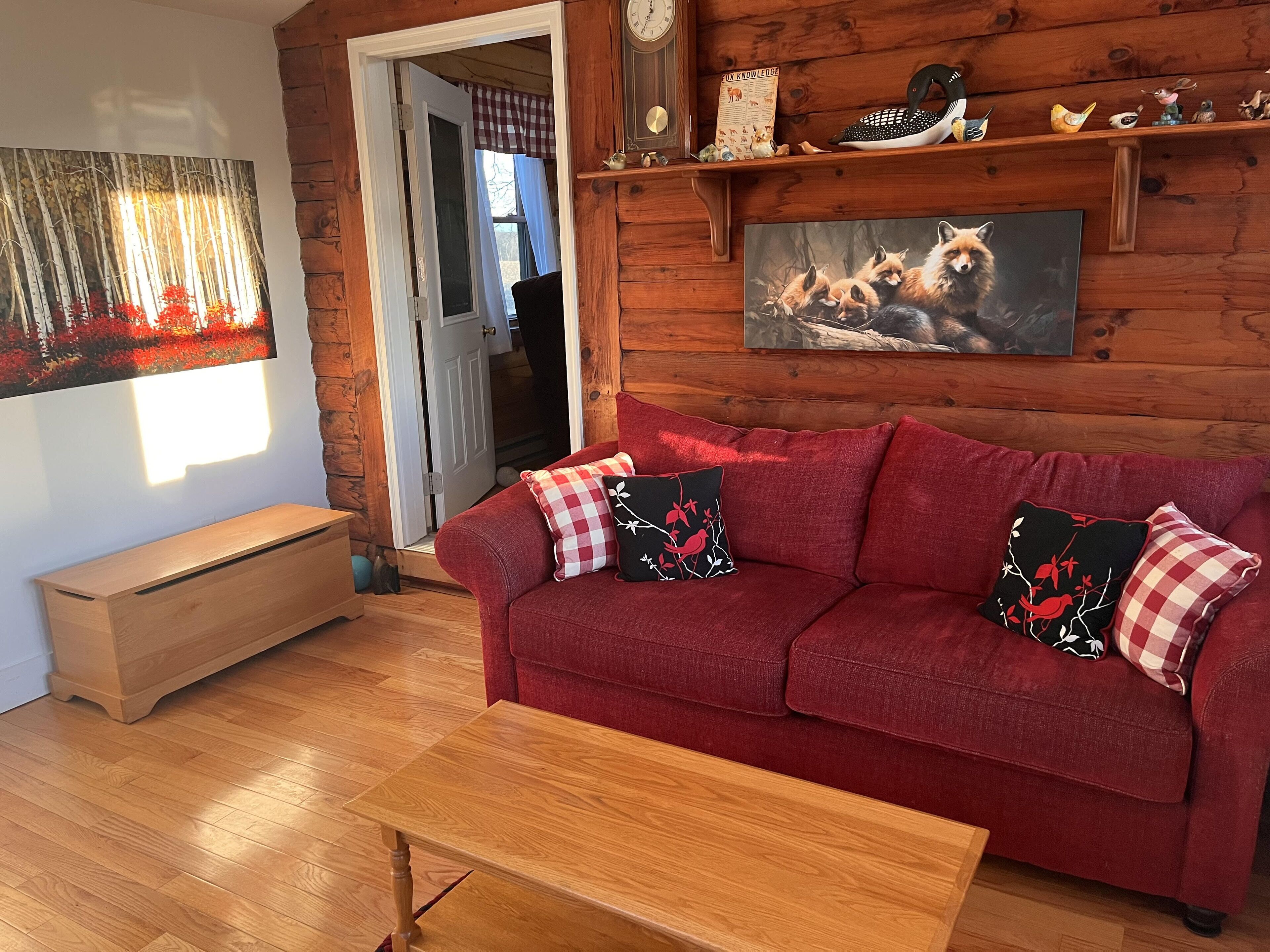 Smart TV, fireplace, ping pong, books