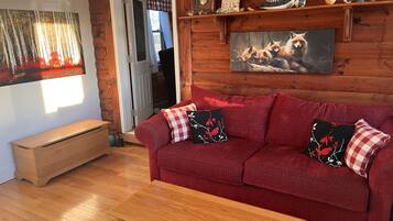 Smart TV, fireplace, ping pong, books