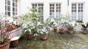 Une cour intérieure agrémentée de plantes en pot et un bâtiment blanc doté de nombreuses fenêtres.