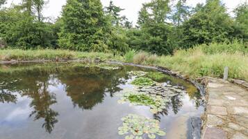 Ferienhaus | Unterkunftsgelände