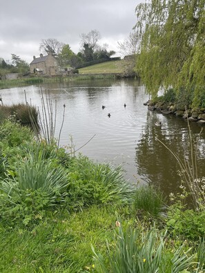 Cottage | Property grounds