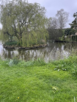 Cottage | Property grounds