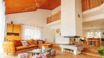 TV connectée, cheminée, livres, vidéothÚque