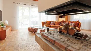 TV connectée, cheminée, livres, vidéothÚque