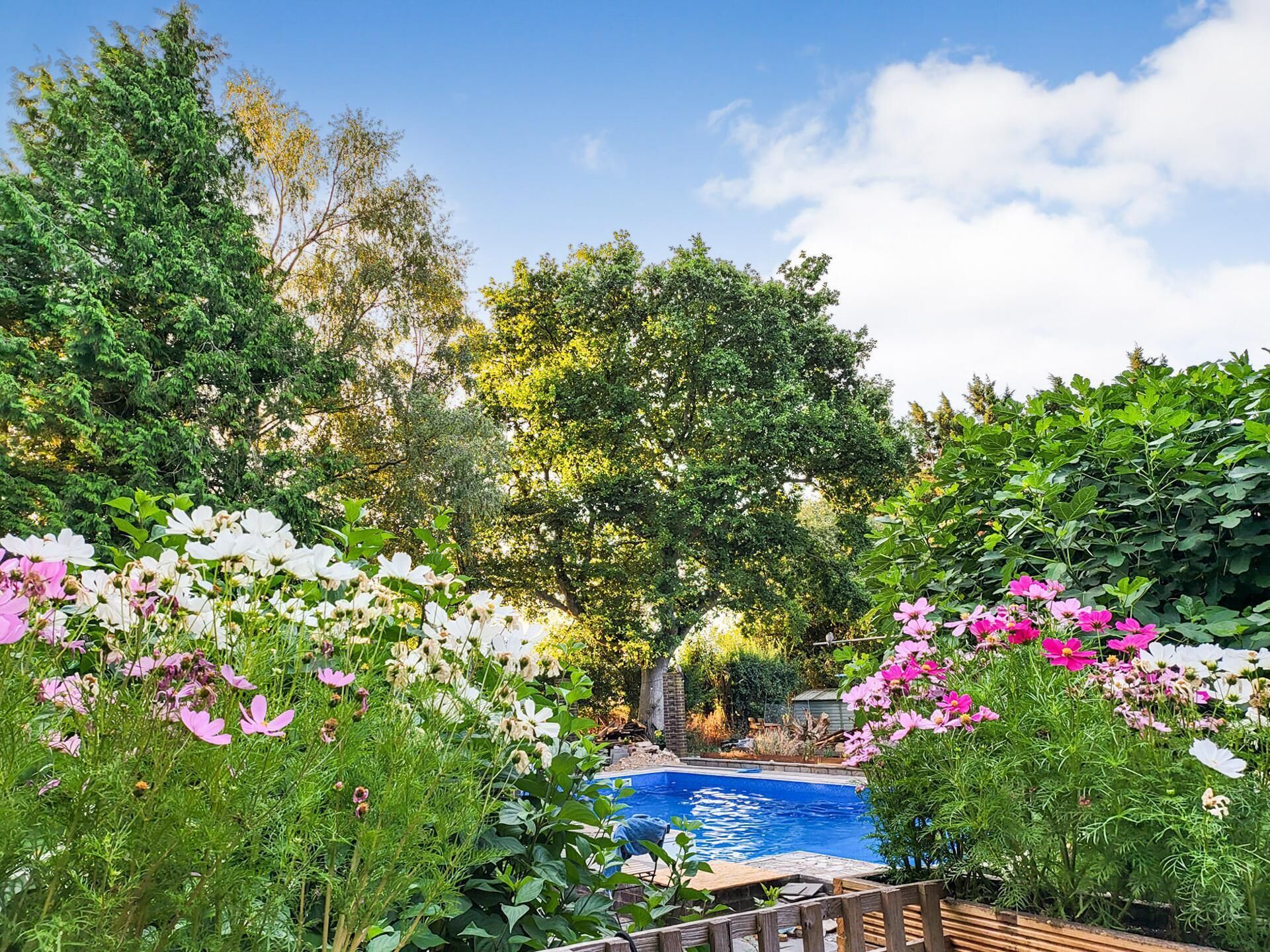 A pool surrounded by lush greenery and flowering plants.