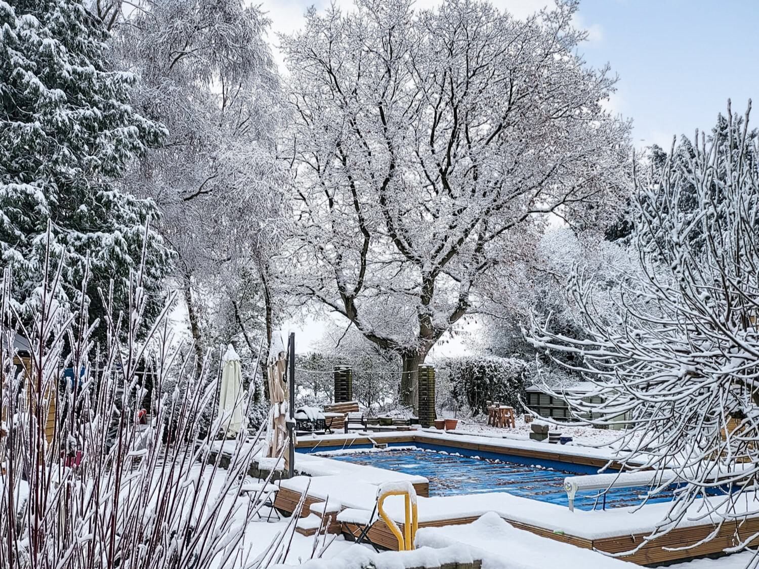 House | Pool | Outdoor pool