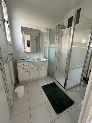 Shower, hair dryer, towels