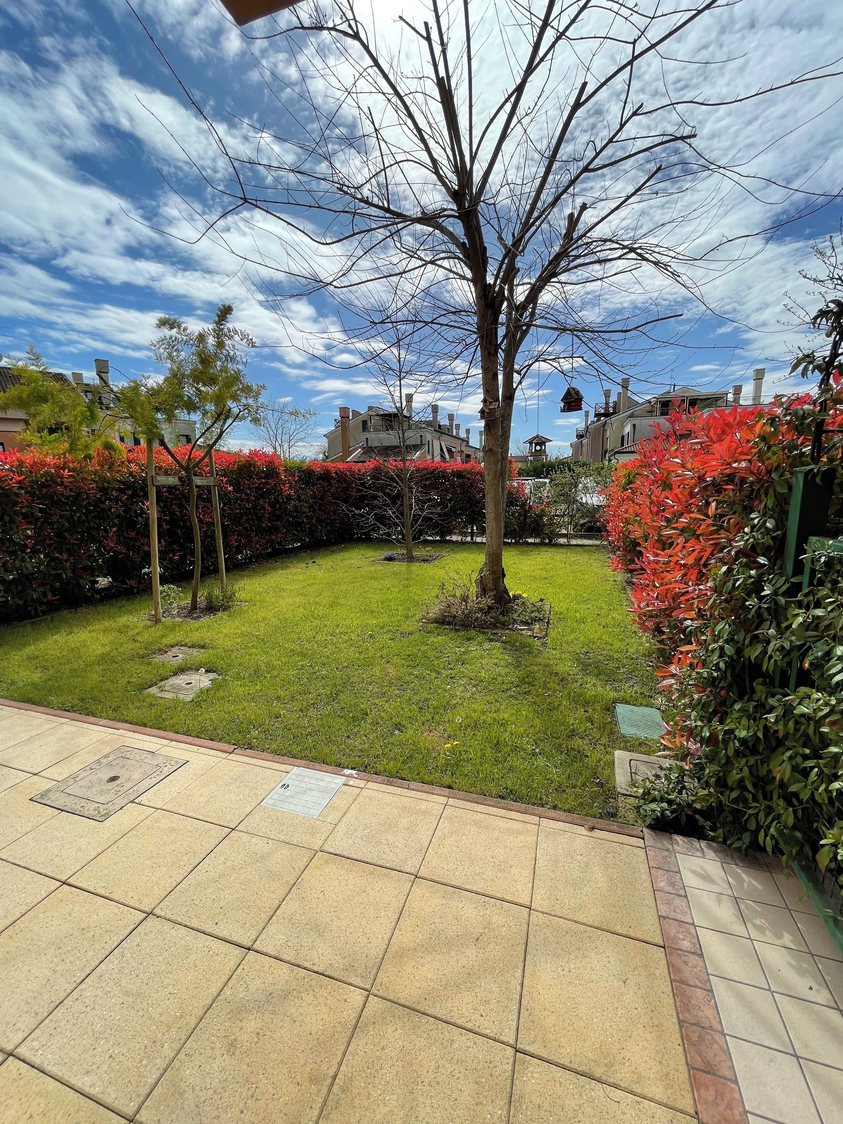 A courtyard with a tiled floor, a grassy area, and a tree.