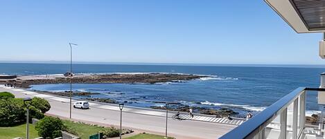 アパートメント | 施設の敷地