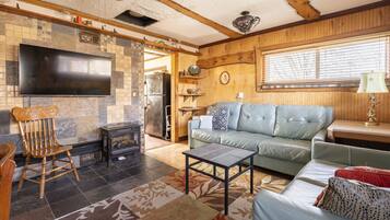 Smart TV, fireplace, books