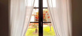 B&B Hibiscus