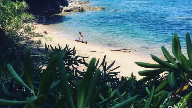 A beach with clear water, a sandy shore, and lush greenery in the foreground.