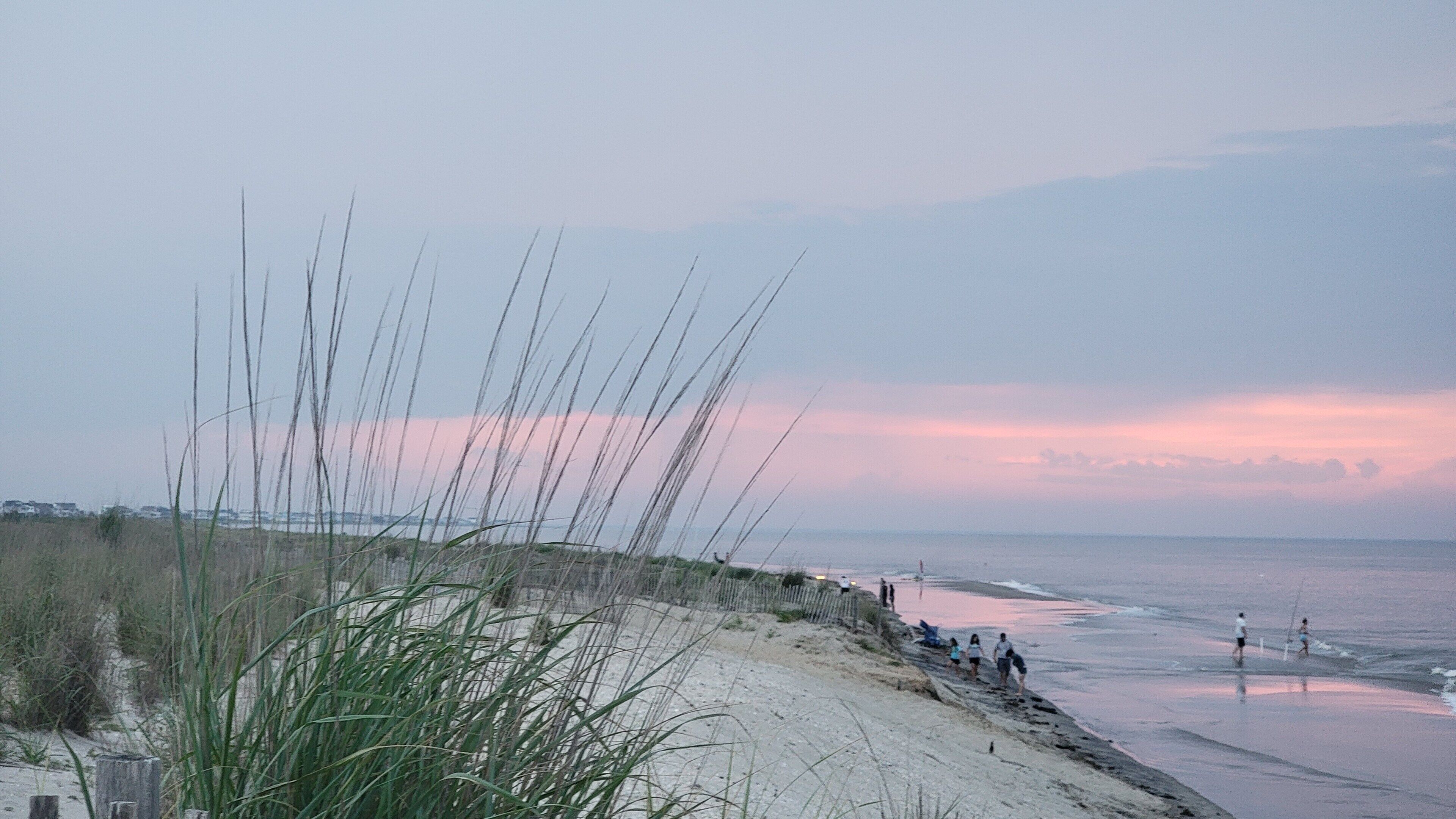 Plage, chaises longues