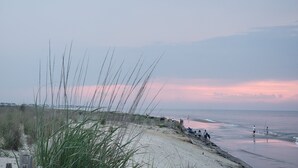Una playa con arena, hierba alta y mar tranquilo.