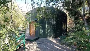 Una estructura de madera rústica con una puerta verde y un pequeño porche, rodeada de abundante follaje.