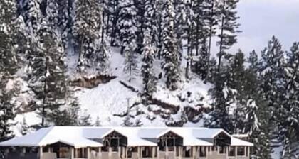 Bellevue Luxury Apartments