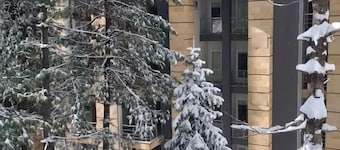 Bellevue Luxury Apartments