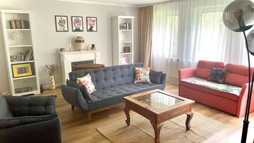 Smart-TV, Kamin, Bücher, Videothek