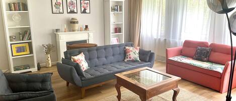 Smart TV, fireplace, books, video library