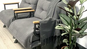 A grey sofa with wooden armrests, a grey throw blanket, and a potted plant with striped leaves. - 􏰇􏰅􏰱􏰂􏰄􏰎􏱂􏰳􏱃 􏰄􏰁􏰁􏰂􏰅􏰇􏰁􏱂􏰃􏱃appartement Dans le Centre Historique (Lourdes)