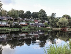 Exterior - Treetops (Caernarfon)