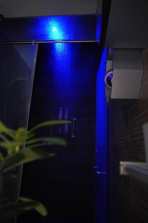 Un baño moderno con cabina de ducha de vidrio, un cabezal de ducha visible y una planta en primer plano.