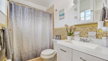 Shower, hair dryer, bidet, towels