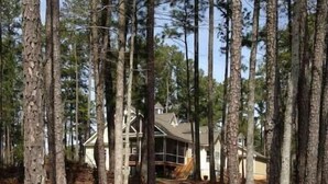 A forested area with a wooden pathway leading to a house. - Lake Life Escape - The Point on Lake Gaston (Henrico)