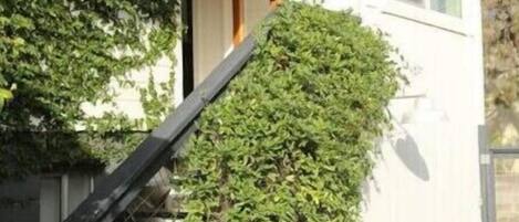 Details aan de buitenkant