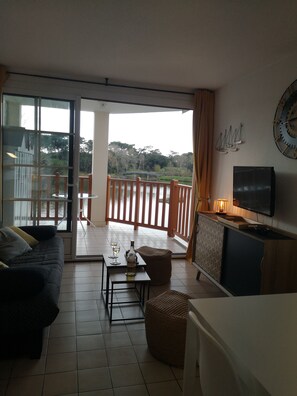 Télévision, table de tennis de table