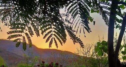 Sunrise cottage @ Vyomanh Udaipur