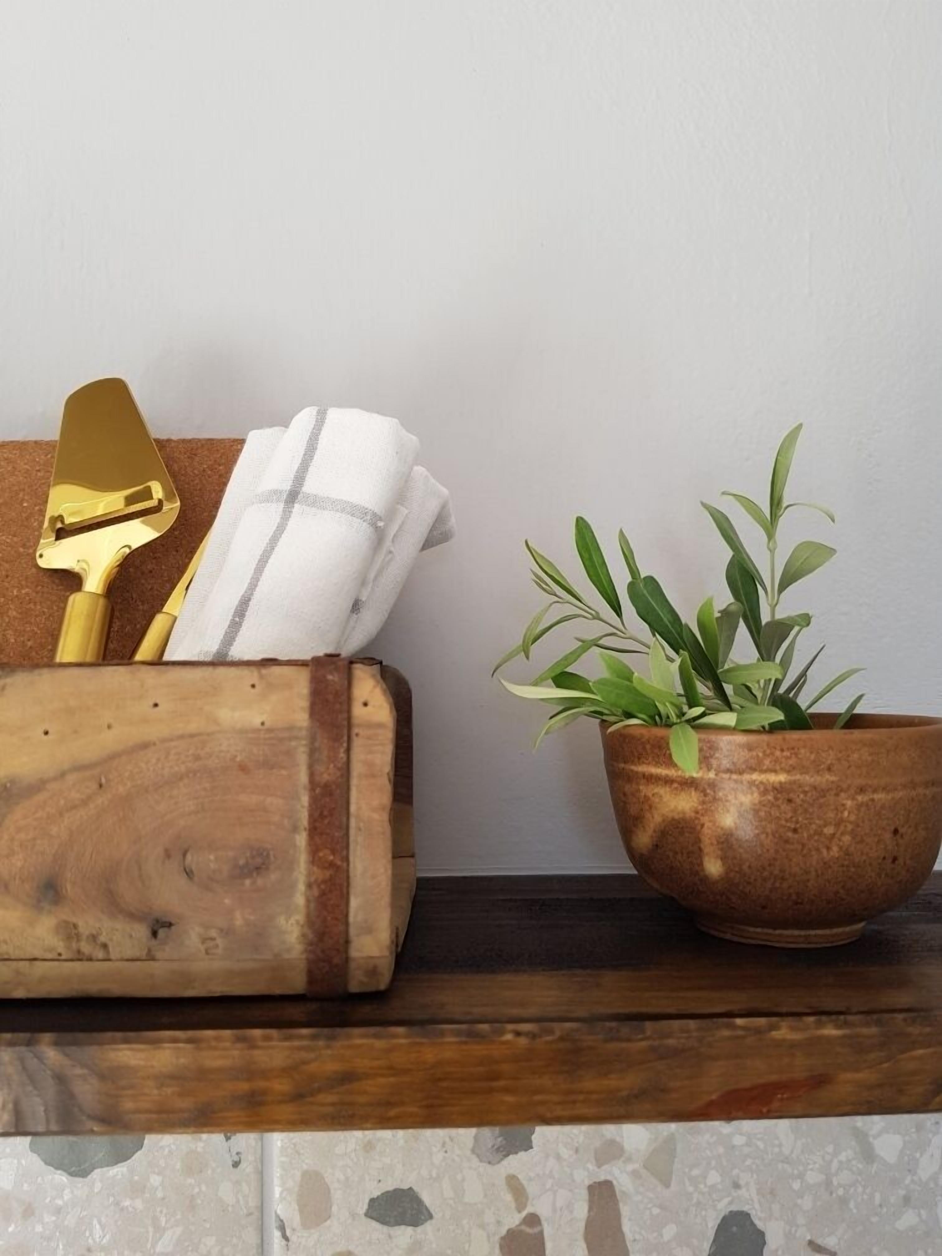 Une boîte en bois contenant une plante et une spatule de couleur dorée, posée sur une étagère.
