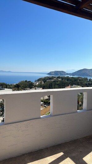 Standard Apartment | Balcony view - Thalia Bloom Villa Apartments  (Malevizi)