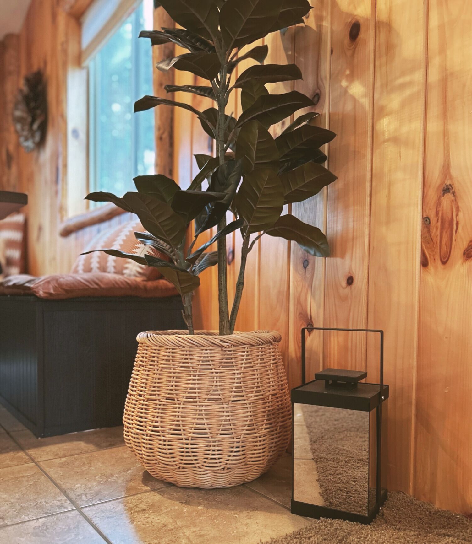 Una habitación con una planta grande en maceta, una cesta de mimbre y un pequeño farol negro en el suelo.